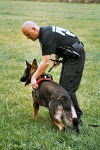 Police Hold T-Shirt Competition to Raise Funds for K-9 Bulletproof Vests