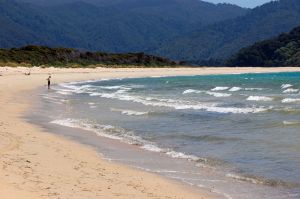 Promotional Clothing Sold to Help Clean Up Beach