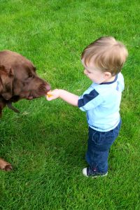 Children's Wear Market Expands in the UK