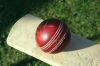 Cricket