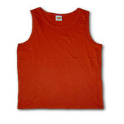 Hanes Mens Body Fit Vest