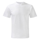 Stedman Mens Budget T-shirts