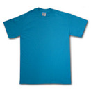 Gildan Mens Standard T-shirt