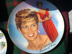 diana-plate-misocrazy.jpg