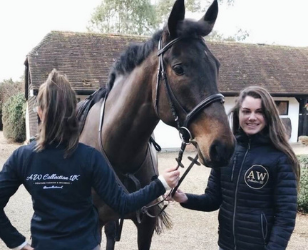 Equestrian workwear
