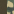 Solid Green/Green Camo